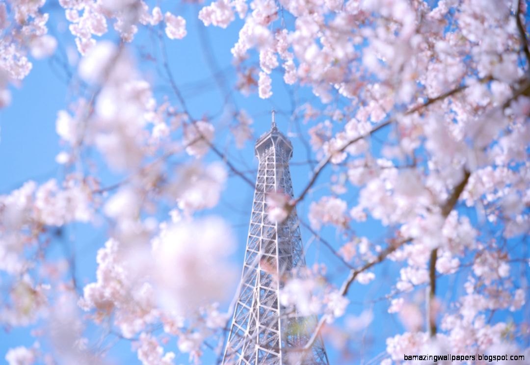 Nguan Springtime in Paris 2014 Nguan Springtime in Paris 2014