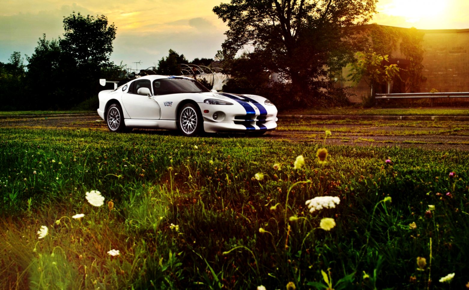 Dodge Viper Gts r Hd Wallpaper Wallpaper List Dodge Viper Gts r Hd Wallpaper Wallpaper List