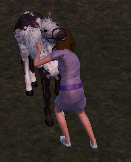 Sims312.png