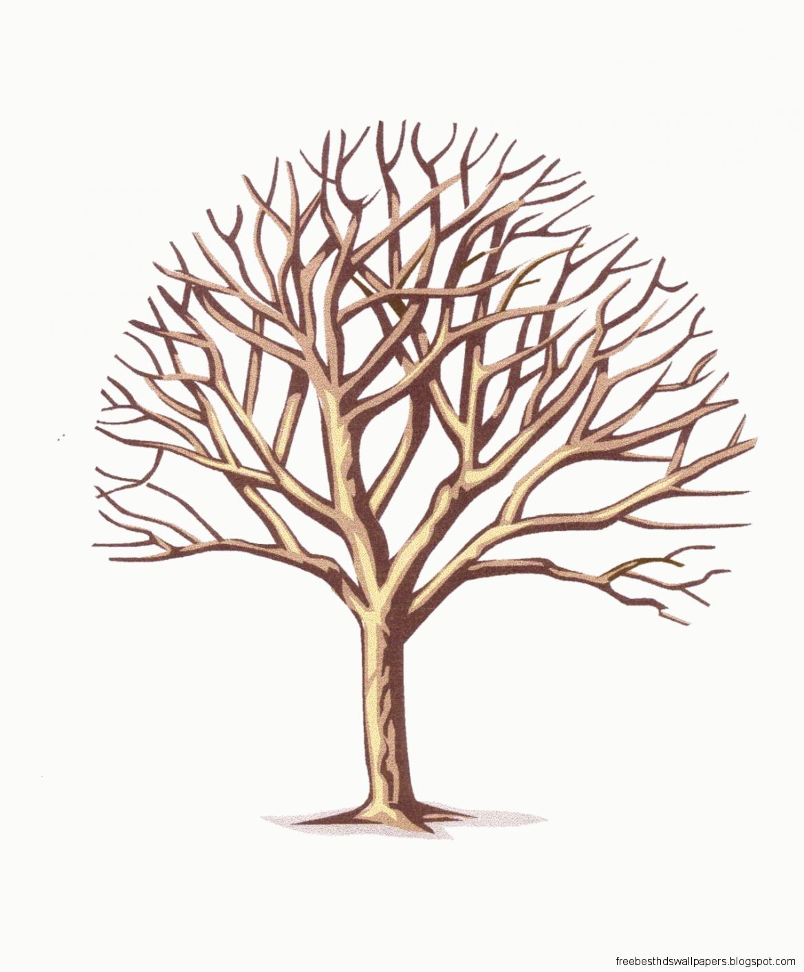 Tree with Branches Tree with Branches