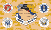 operation iraqi freedom,combined forces