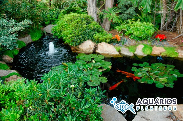 Lago ornamental para jardim. lago ornamental para jardim paisagismo ... Cascata em lago ornamental