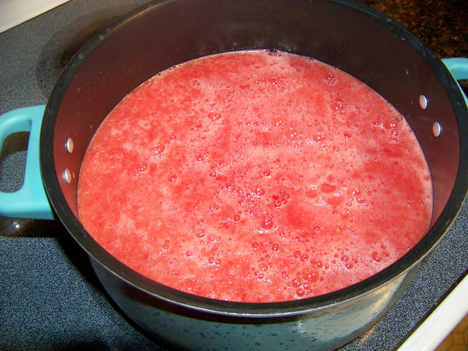 Simsamsue in a House of Blue! Watermelon Jelly