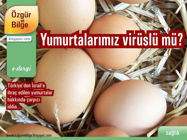 Yumurtalarımız virüslü mü?