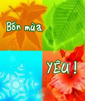 Cảm nhận mùa yêu