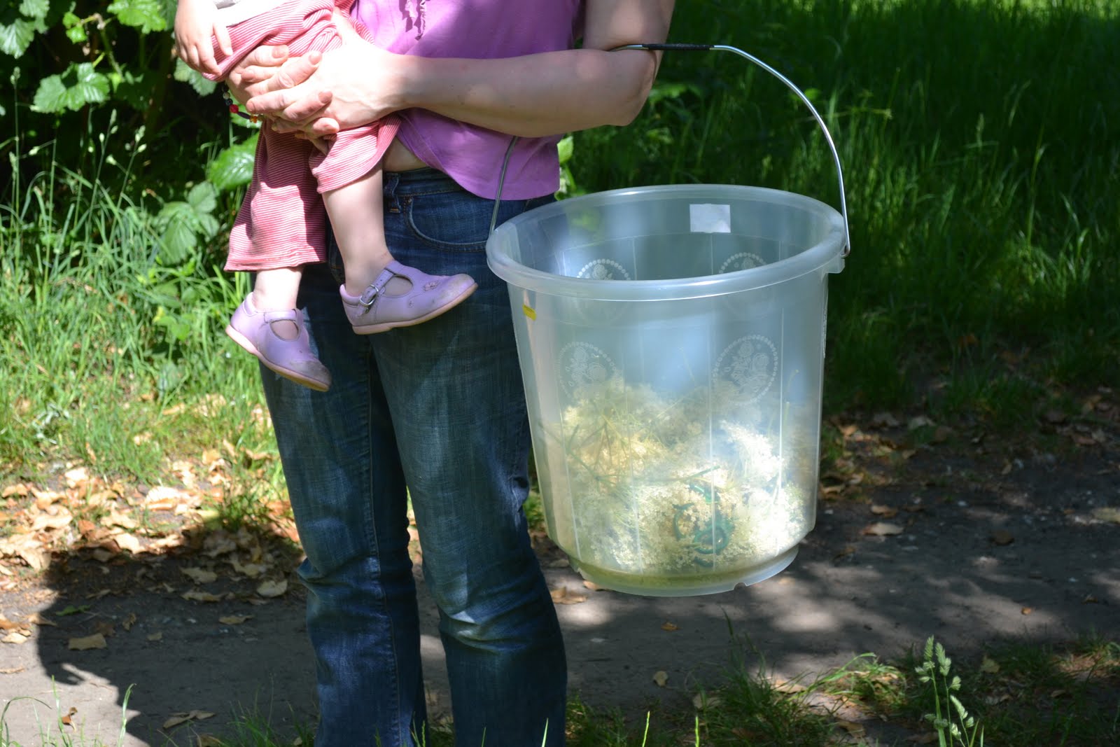 Glittering Shards Make your own champagne in 5 easy steps!