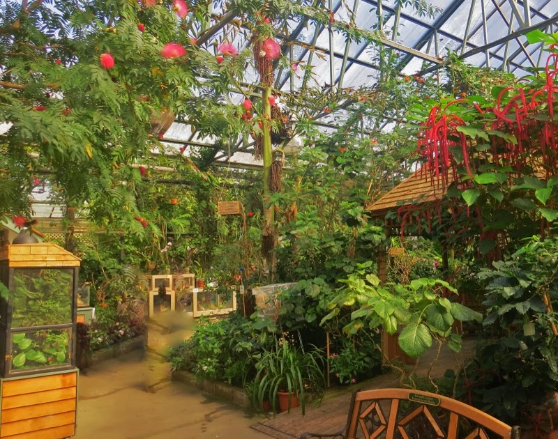 The Brownstone Birding Blog Is Winter The Best Time To Find Butterflies?