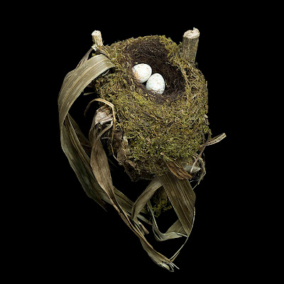 [Image: bird-nests-sharon-beals-25.jpg]