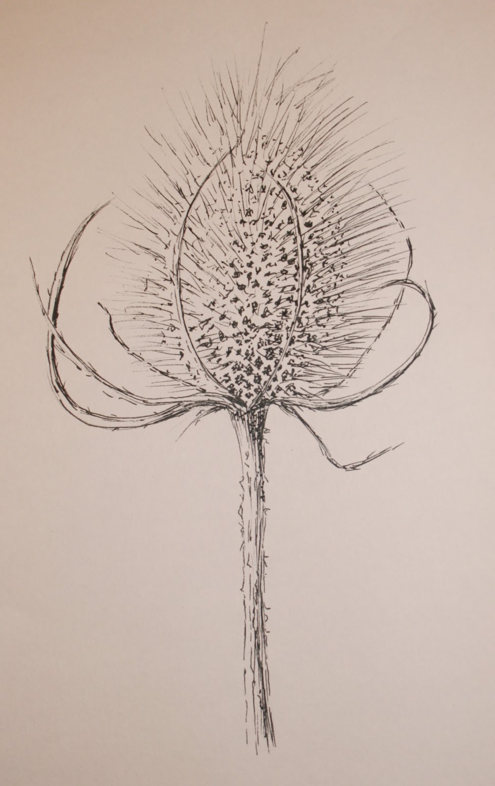 Lynn Norton: Line Drawing