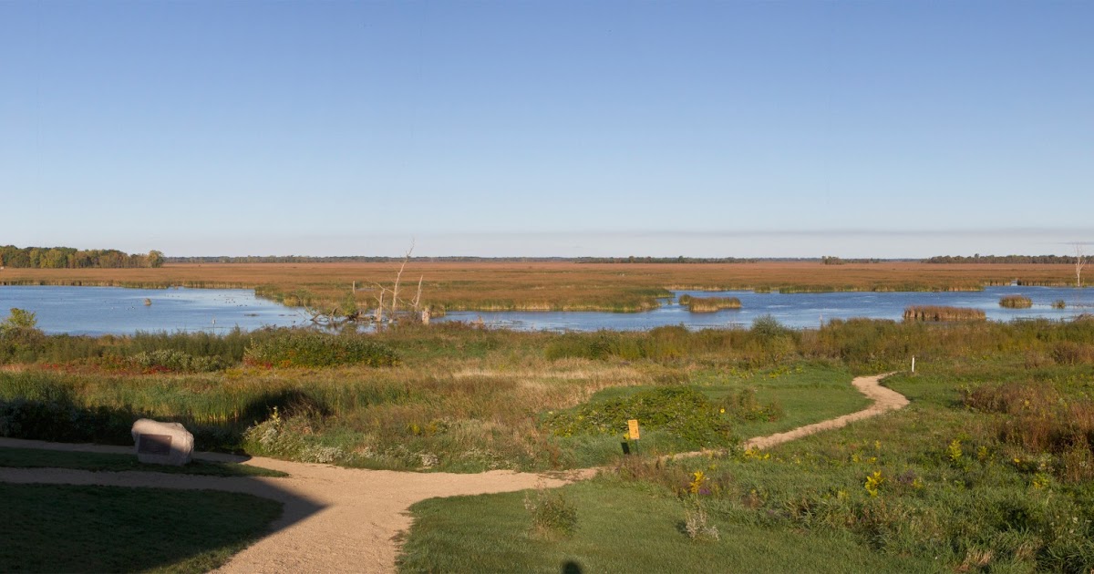 Birding Is Fun! Birding at Horicon Marsh!