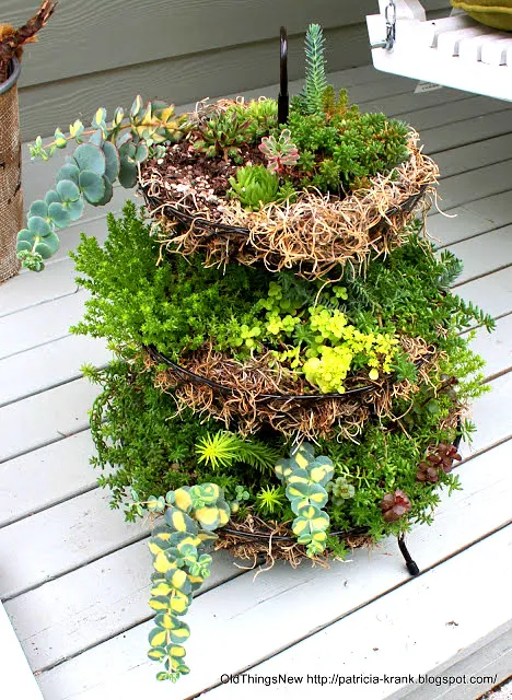 A three tiered succulent garden - so cool! By Old Things New featured on I Love That Junk