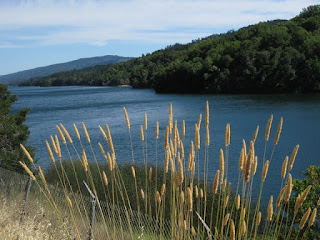 Lower Crystal Springs Reservoir, near San Mateo, California