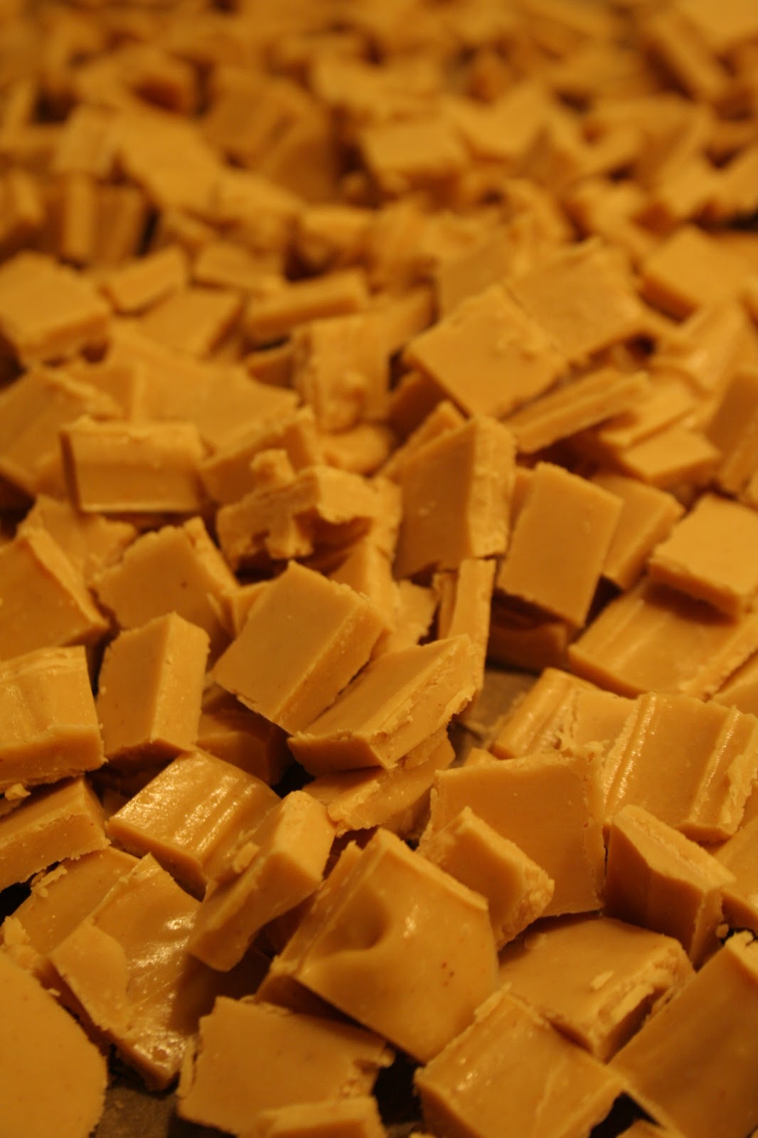 Growing Up Veg Vegan Peanut Butter Chip Recipe