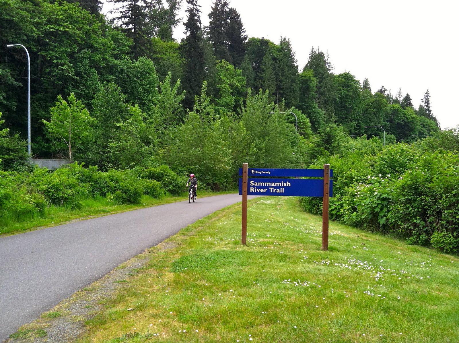 Spring Awakening Sammamish River Trail Redmond, WA