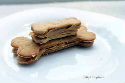 Dog Treats Peanut Butter And Yogurt Dog Treats Peanut Butter And Yogurt