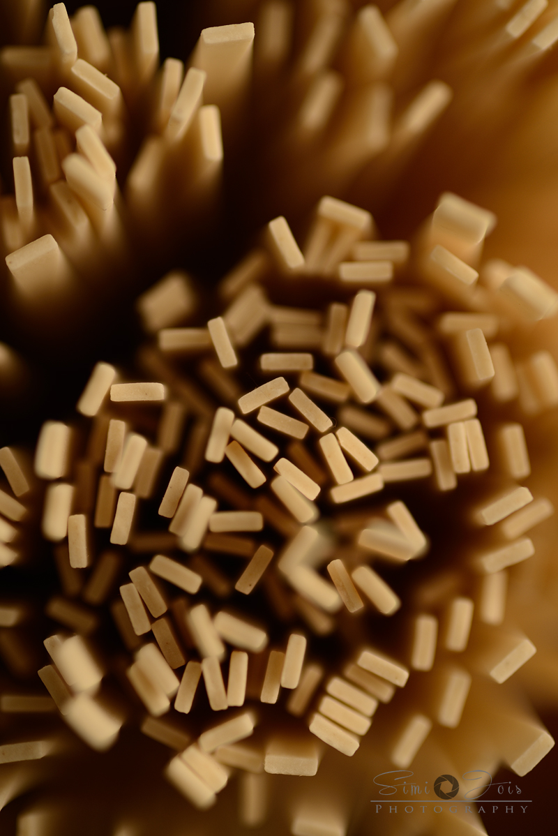 Turmeric n spice Garlic Stirfried Udon Noodles