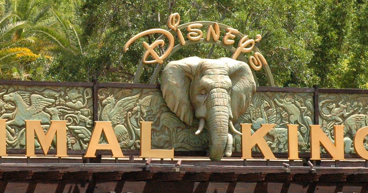 Doing Disney in a Week...and Surviving: February-March and It's Warm!