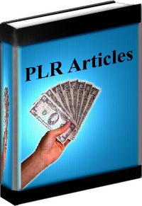 What is PLR Articles ? Private Label Rights eBooks