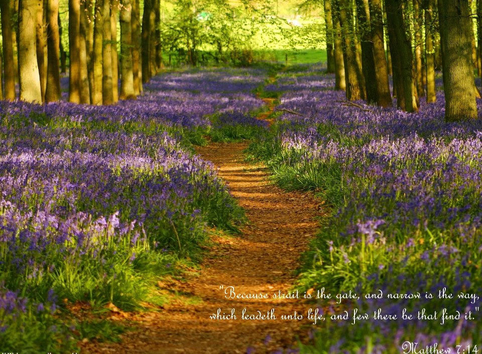 Bible verse christian desktop wallpapers matthew quotes james spring king landscape scripture kjv september versed kjb computer verses backgrounds background Christmas Cards 2012: Christian Bible Verse Wallpapers Download
