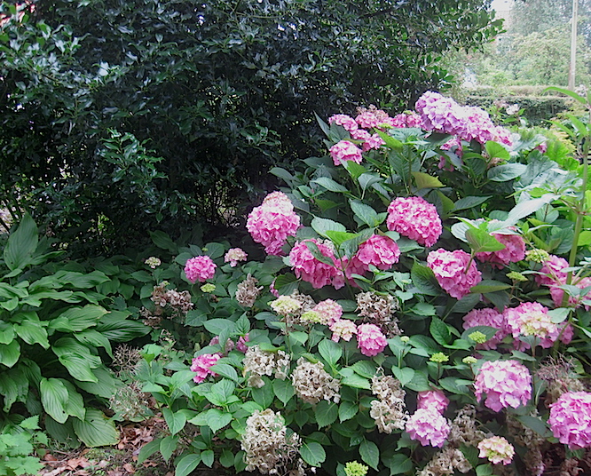 Usk Workshop People Drawing Party Urban Sketchers