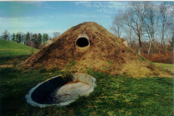 Something Between Want And Desire Nancy Holt S Star Crossed