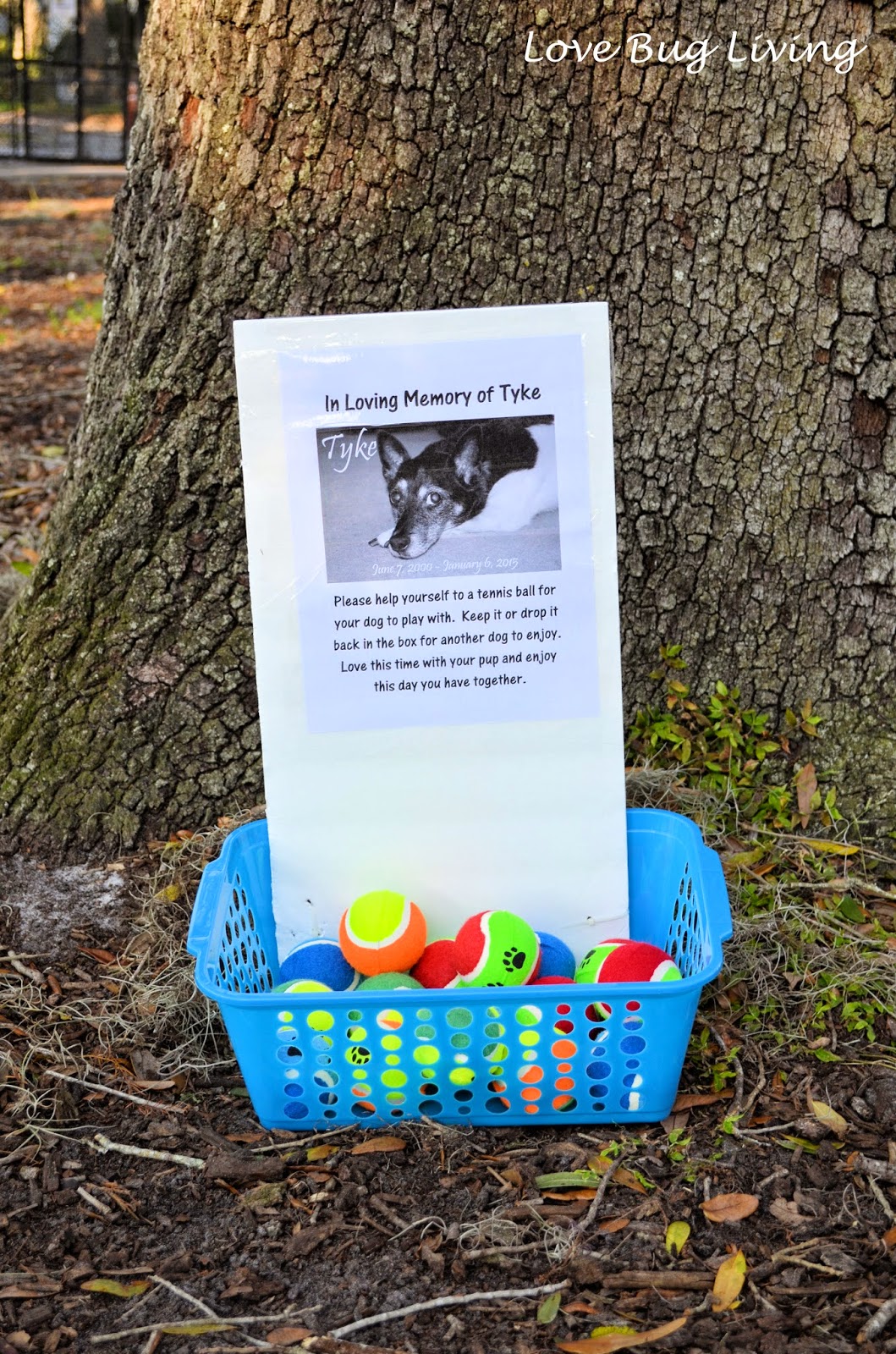 Love Bug Living Tennis Ball Bin Dog Memorial