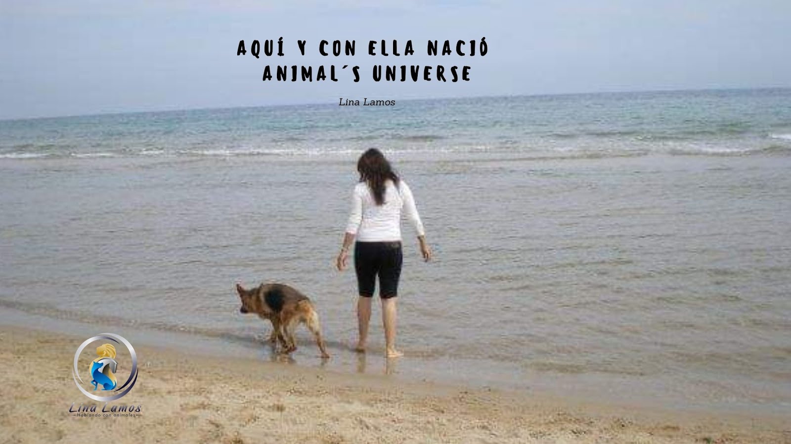 Animal´s Universe   Terapias para Animales