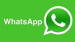 Whatsapp para Informes