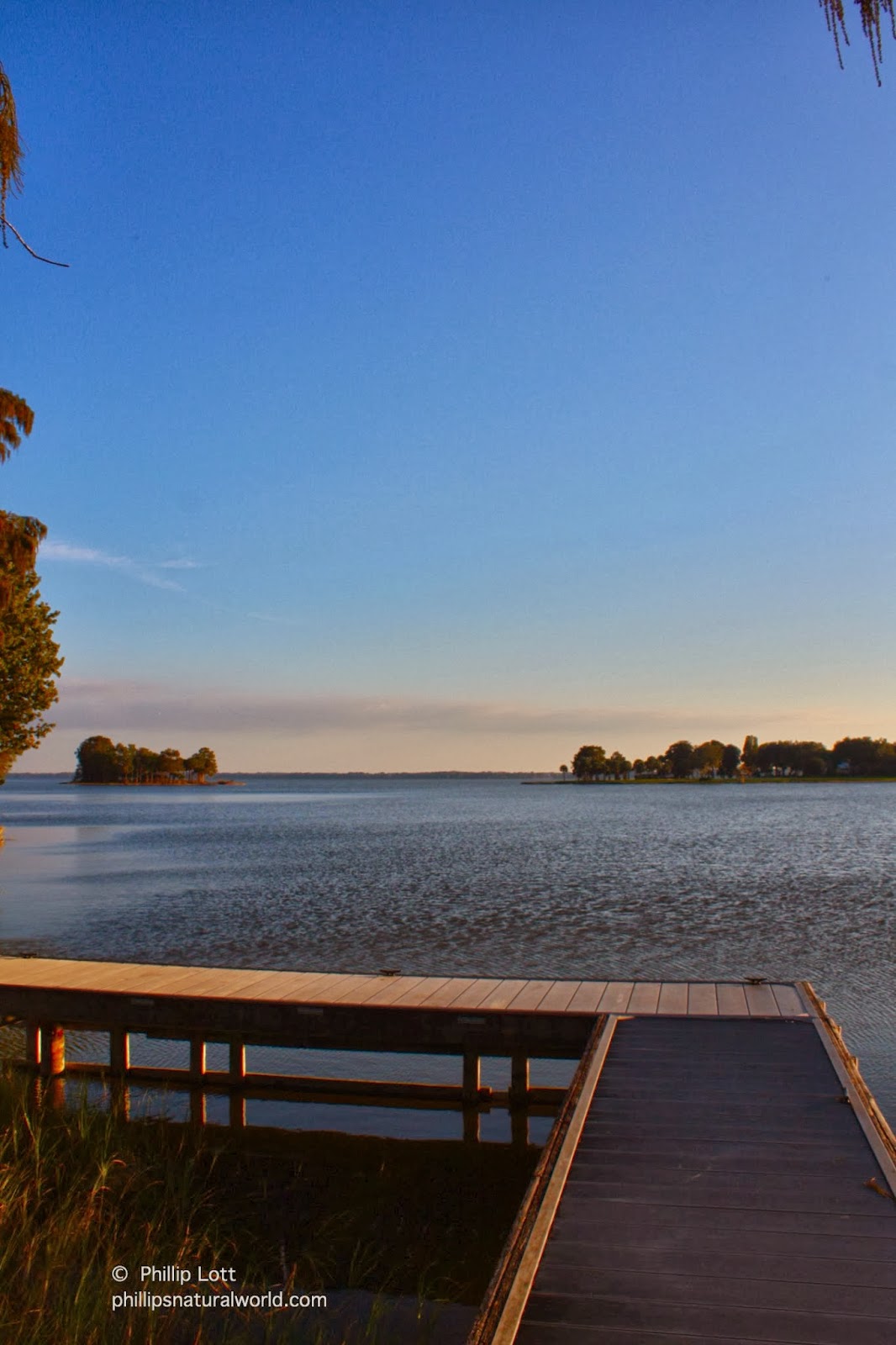 Florida Lakes Phillip's Natural World