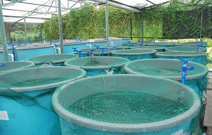 aquaculture-farm.jpg