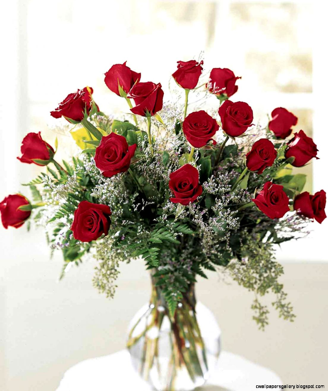 roses Google Search Roses to appreciate Pinterest Red Rose roses Google Search Roses to appreciate Pinterest Red Rose