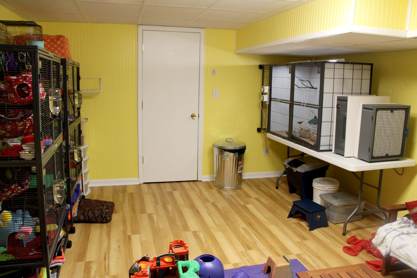 Ratropolis The Rat Room Remodel