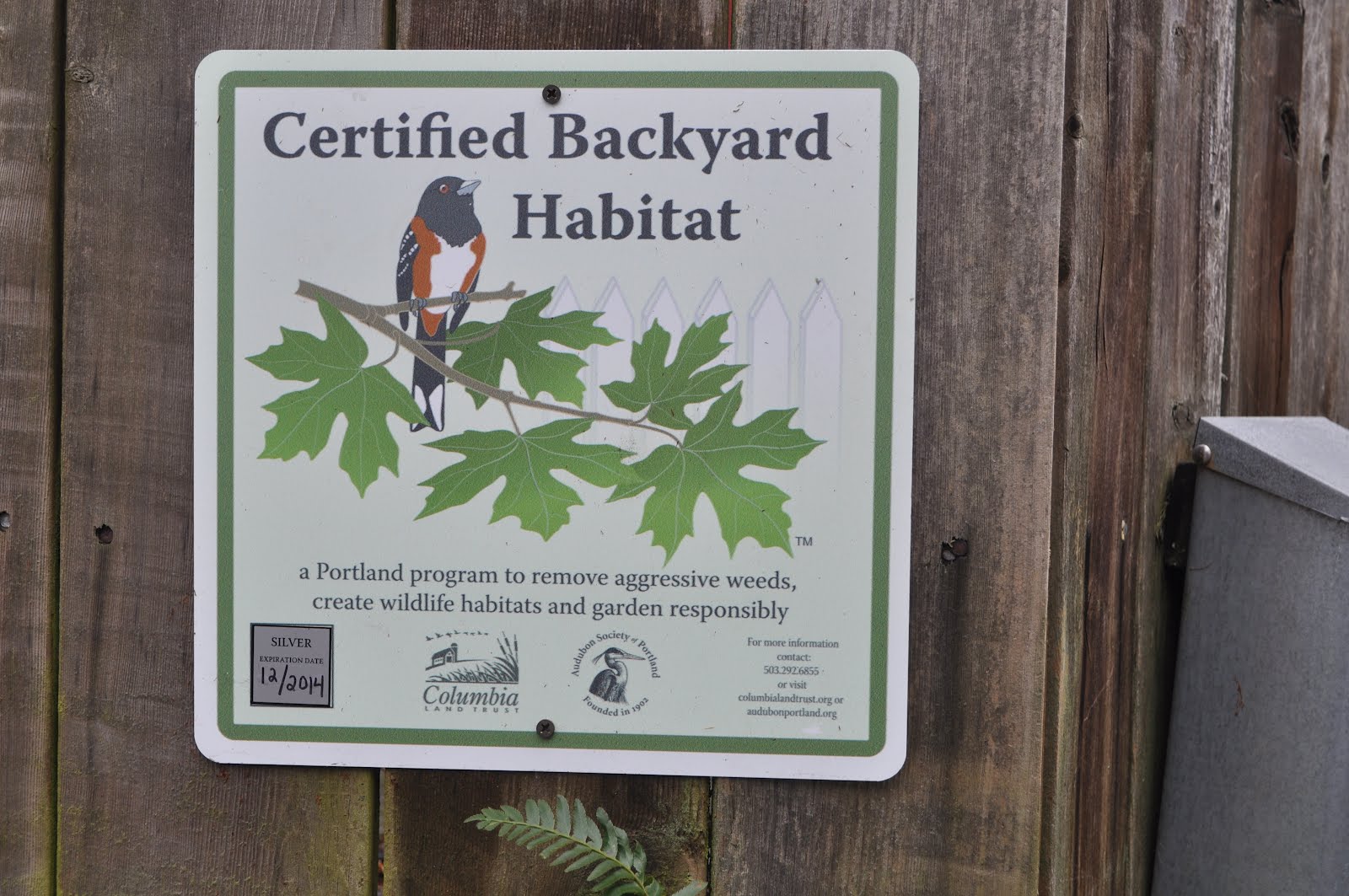 Stream of Consciousness Backyard Bird Habitat Certified!
