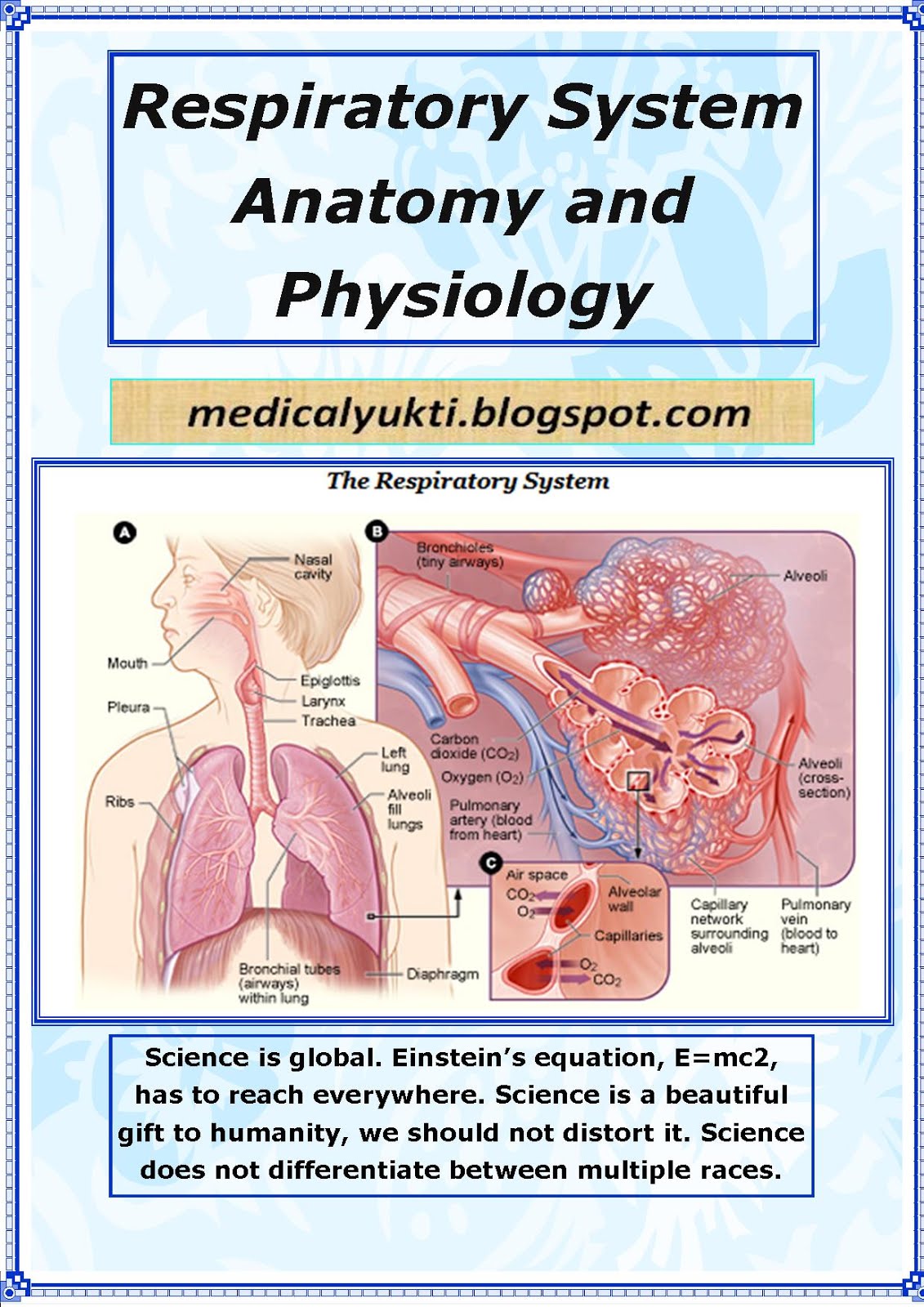 Respiratory-system