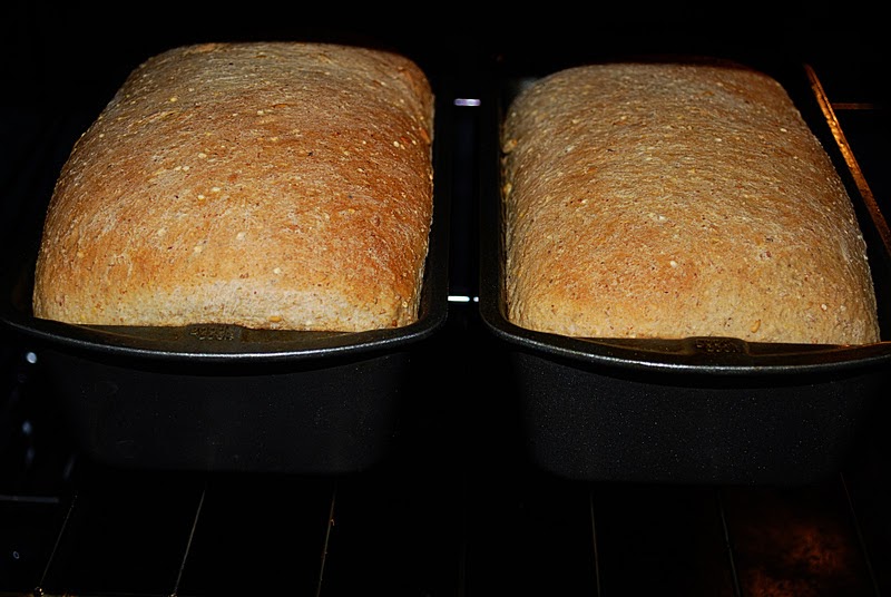 Health Conscious Momma 12 Grain Bread