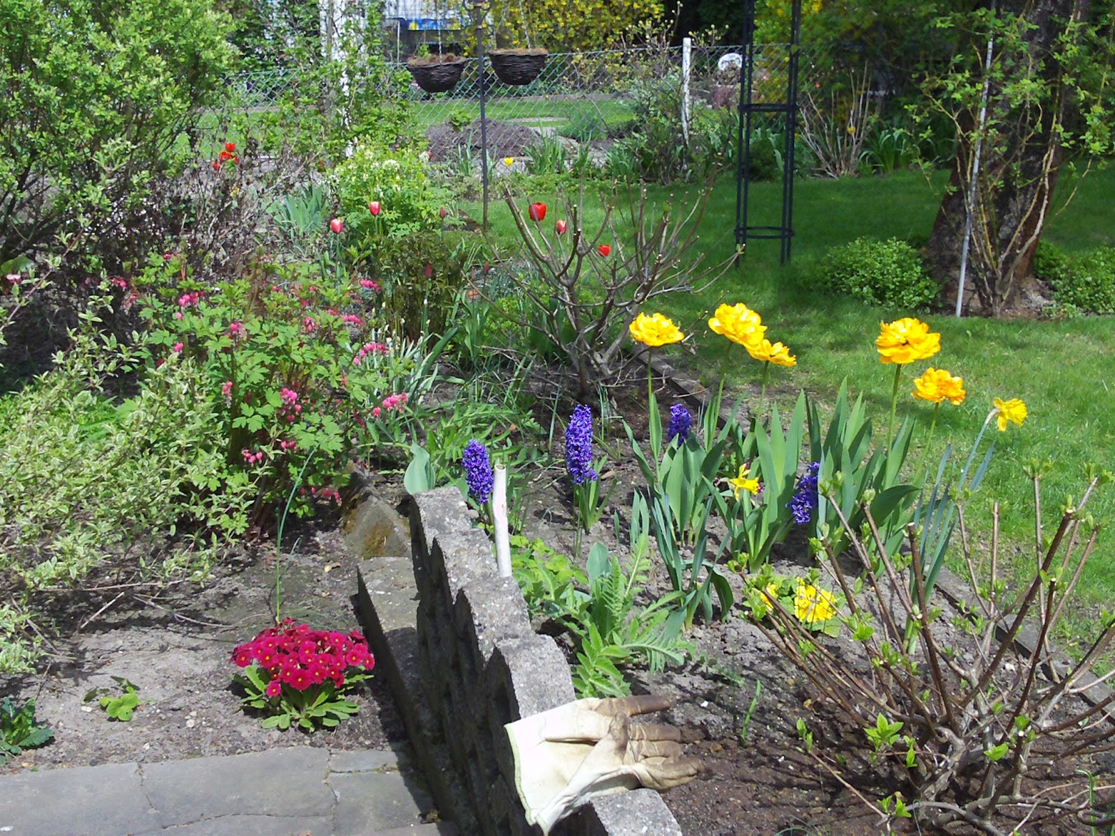 Frühling im Garten Gartenelfe