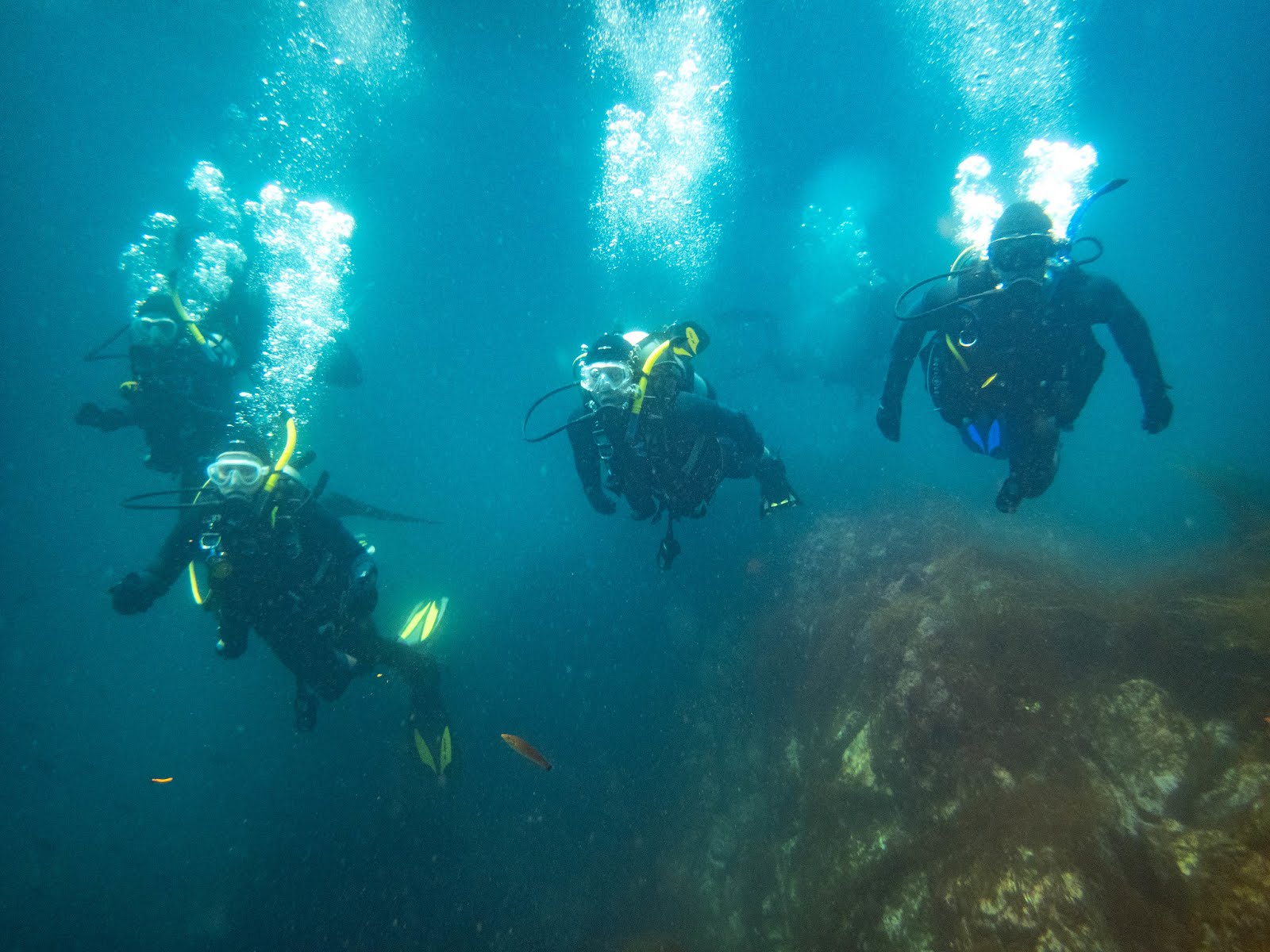 Diving Catalina Island Rock Quarry & Eagle Rock With The Pacific Star