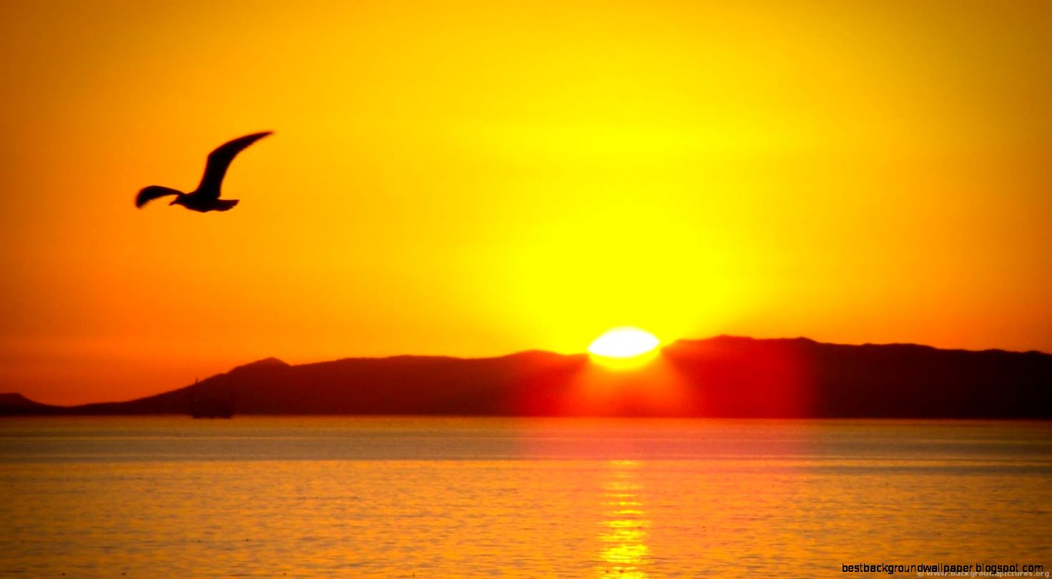 SUNRISE WALLPAPERS Android Apps on Google Play SUNRISE WALLPAPERS Android Apps on Google Play