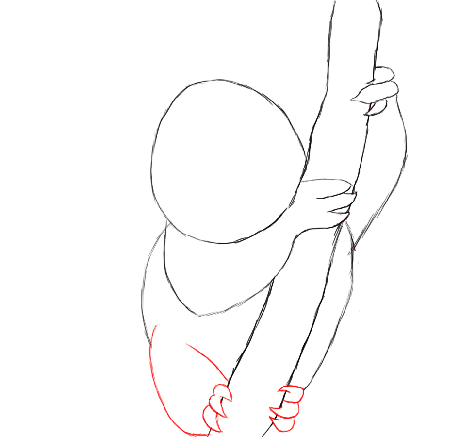 Koala Outline