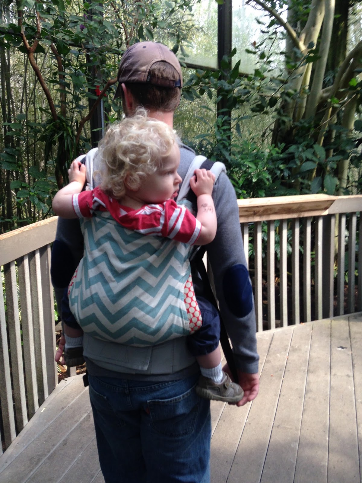 back carrier for 1 year old