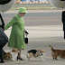Τέλος οι σκύλοι για τη βασίλισσα Ελισσάβετ...