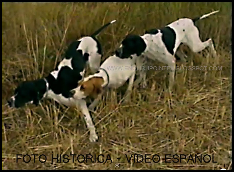 FOTO HISTORICA - VIDEO ESPAÑOL