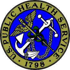 Public health service essay