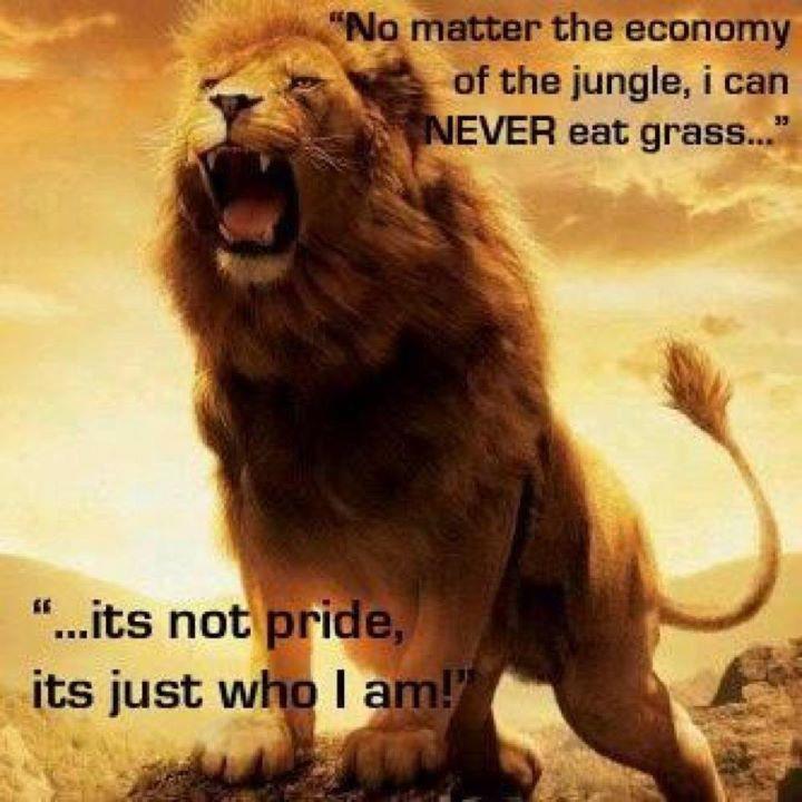Inspirational Quotes Inspirational Quotes