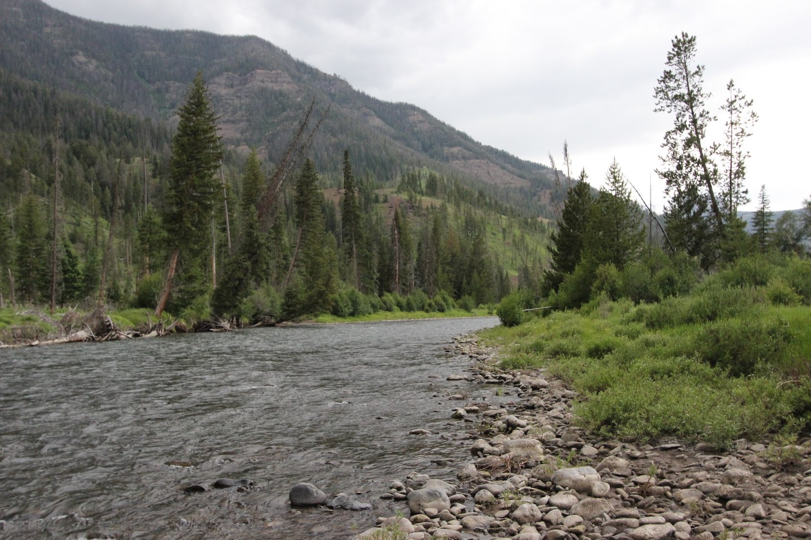 SOUTHWEST ANGLER NORTH FORK SHOSHONE RIVER