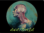 ANATOMÍA