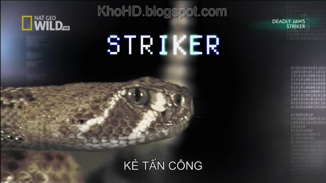 Striker+1080i+HDTV+KhoHD+(Viet)%5B22-30-00%5D(1).JPG