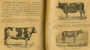 1896 TRATADO ELEMENTAL DE AGRICULTURA