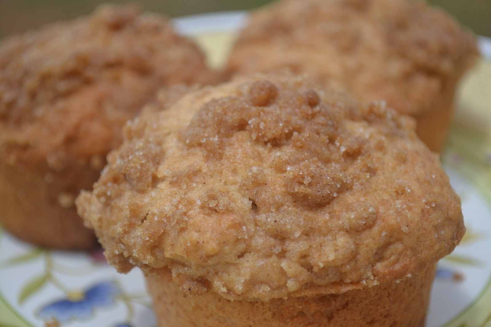 Applesauce Muffins with Cinnamon Streusel Topping