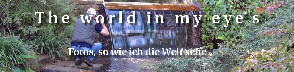               The world in my eye`s